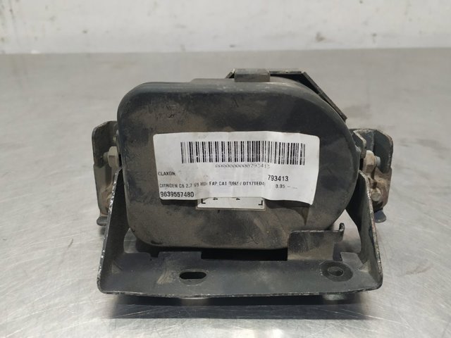 9639557480 Peugeot/Citroen