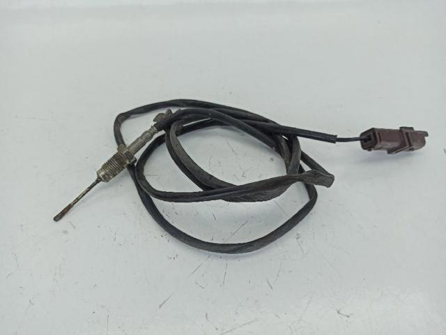 9640491580 Peugeot/Citroen