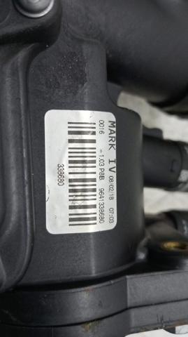 9641338680 Peugeot/Citroen