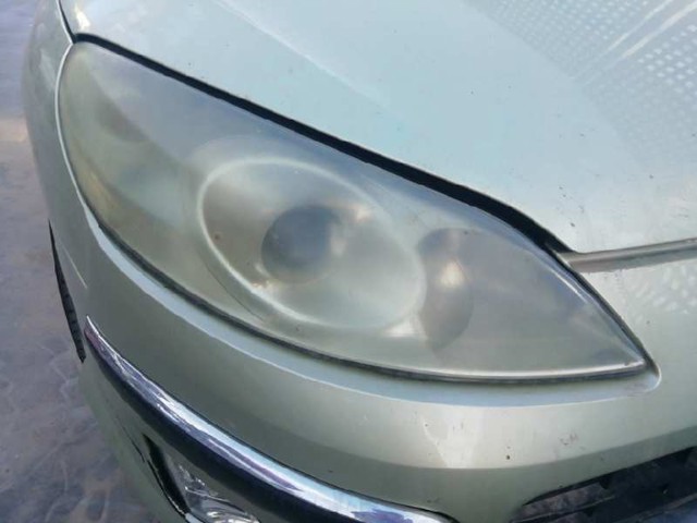 9641939880 Peugeot/Citroen