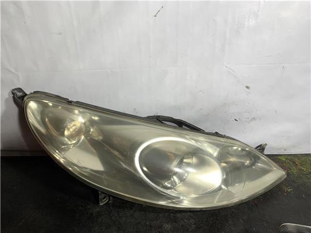 9641939880 Peugeot/Citroen