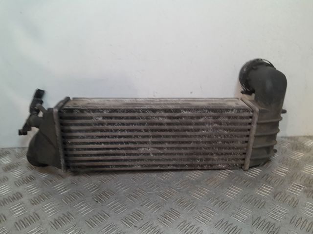 9642789780 Peugeot/Citroen