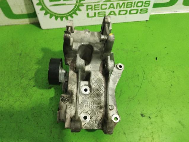 9643834880 Peugeot/Citroen
