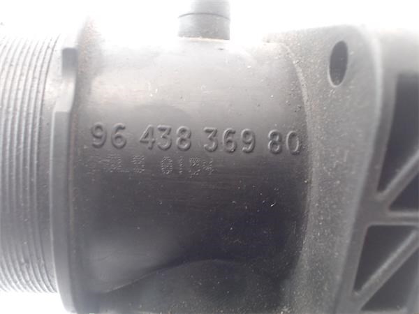 9643836980 Cuerpo de mariposa comprar Sevilla