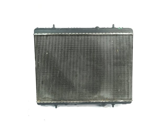 9645586980 Peugeot/Citroen