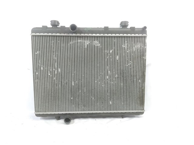 9645586980 Peugeot/Citroen