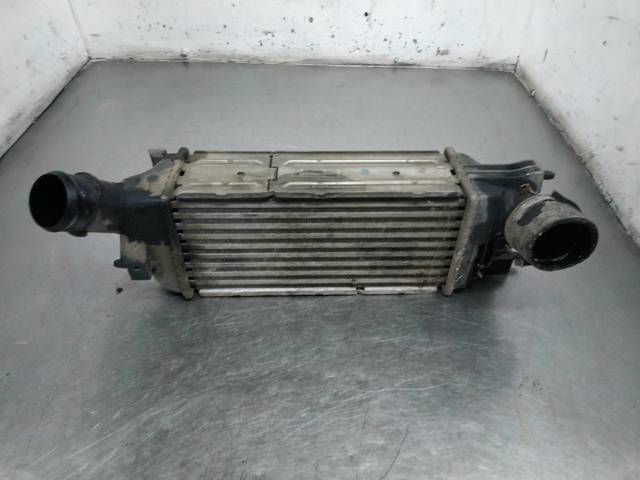 9645682880 Peugeot/Citroen