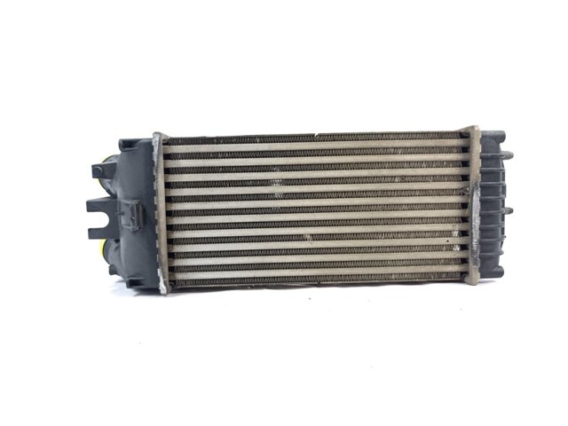 9645965180 Peugeot/Citroen