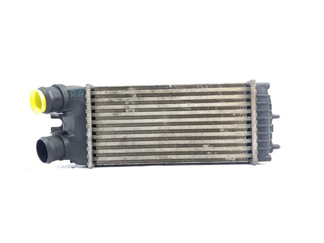 9645965180 Peugeot/Citroen