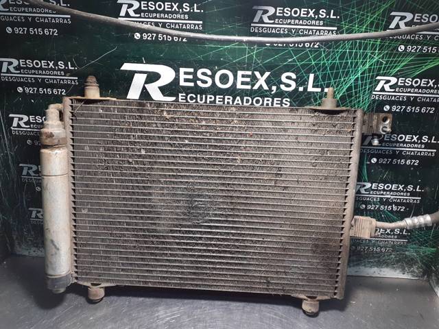 9645974780OR Peugeot/Citroen