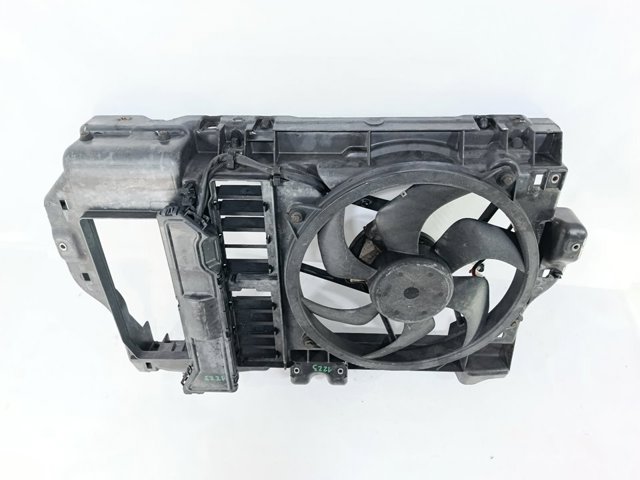9646474780 Peugeot/Citroen