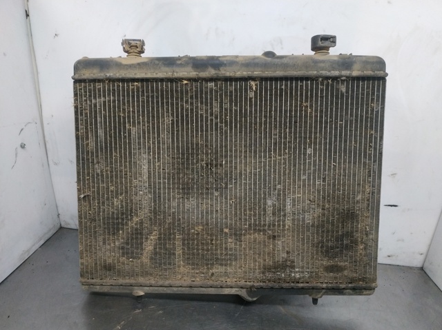 9646577680 PEUGEOT Radiador de refrigeración del motor  disponible Ourense