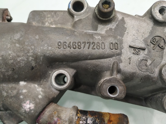 9646977280 Peugeot/Citroen