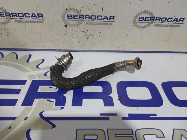 9646996380 Peugeot/Citroen