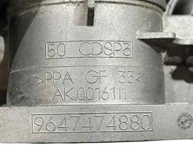 9647474880 Peugeot/Citroen