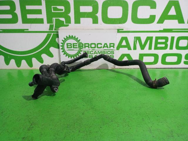 9647768980 Peugeot/Citroen