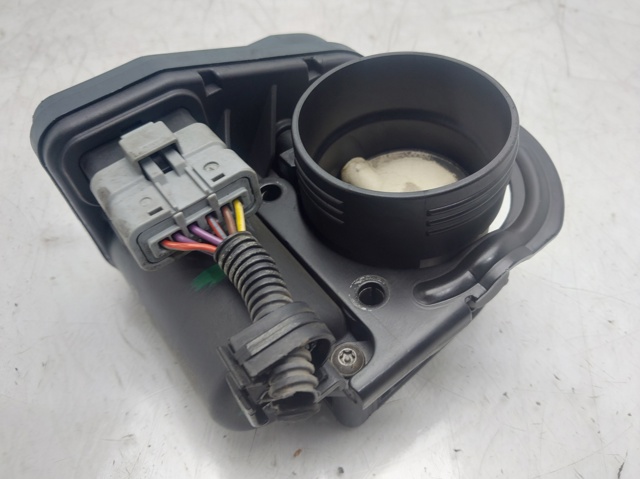 9649510080 PEUGEOT Cuerpo de aceleración completo  comprar en Jaén