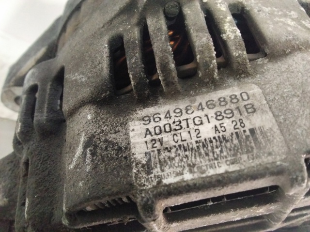 9649846880 Peugeot/Citroen