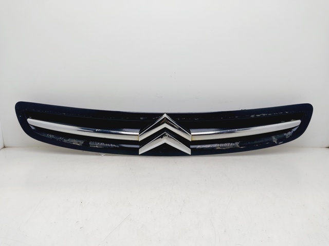Calandra Citroen Xsara  (2000-2010)