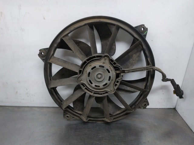 Ventilador de radiador Peugeot 307 desde 63,89 €