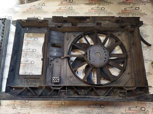 9650316080 PEUGEOT Difusor del radiador de refrigeración  disponible Ourense
