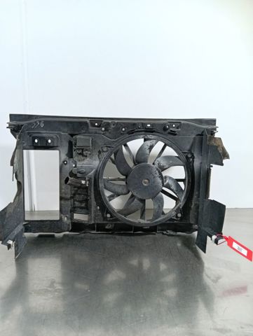 9650316080 Peugeot/Citroen