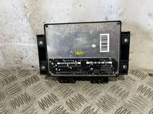 9650360480 Peugeot/Citroen