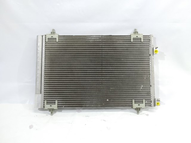 9650545480 Peugeot/Citroen