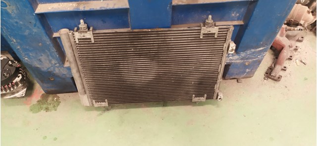 9650545480 Peugeot/Citroen