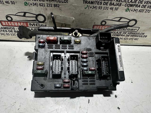 9650663880 Peugeot/Citroen