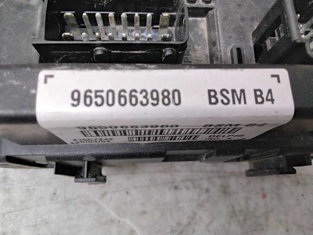 9650663980 Peugeot/Citroen