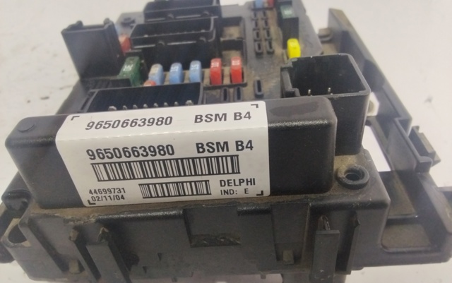 9650663980 Peugeot/Citroen