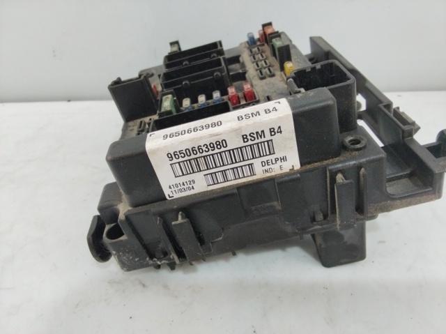 9650663980 Peugeot/Citroen