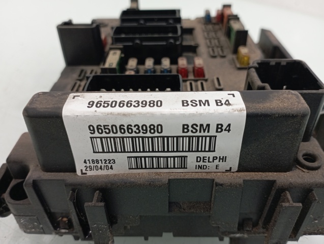 9650663980 Peugeot/Citroen