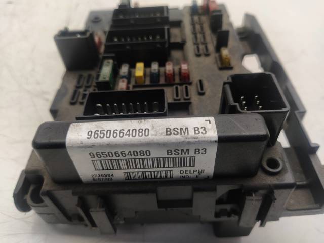 9650664080 Peugeot/Citroen