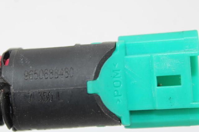 9650688480 PEUGEOT Interruptor de luz de freno  disponible Ourense
