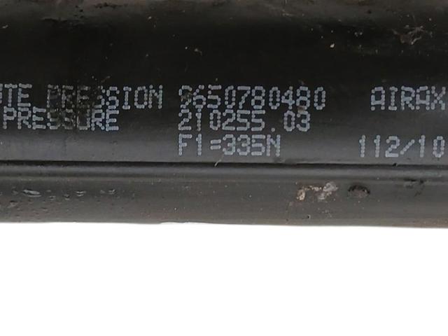 9650780480 PEUGEOT Amortiguador maletero  en stock Córdoba