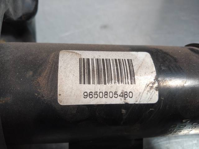 9650805480 Peugeot/Citroen