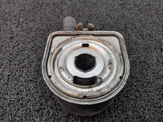 9650863380 Radiador de aceite debajo del filtro  disponible Málaga