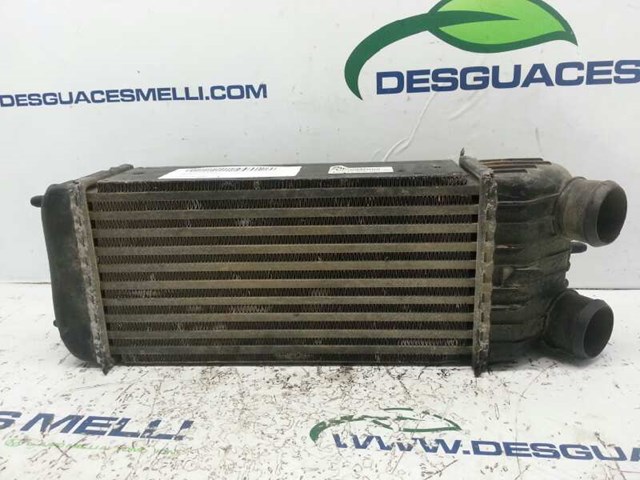 9651184880 Peugeot/Citroen