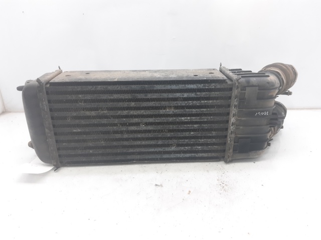 9651184880 Peugeot/Citroen
