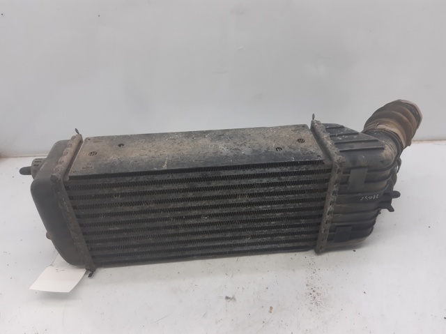 9651184880 Peugeot/Citroen