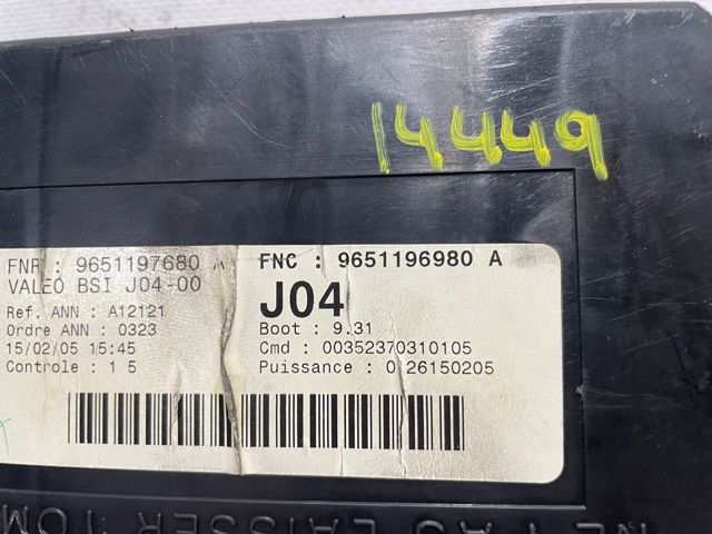 9651196980 Peugeot/Citroen
