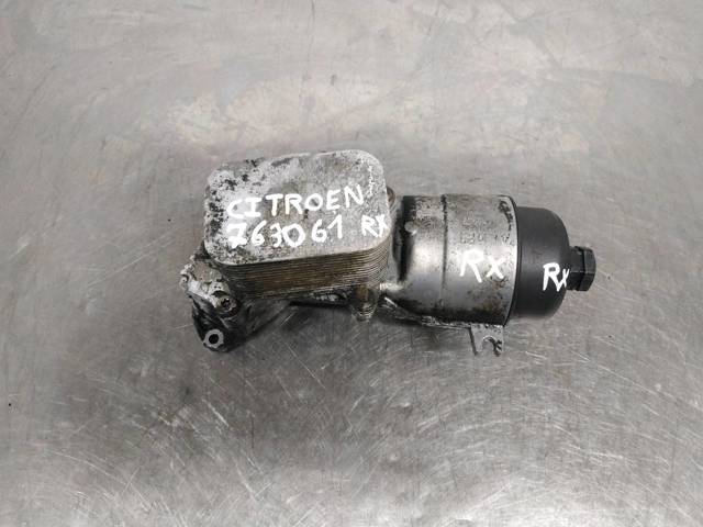 9651813980 Peugeot/Citroen
