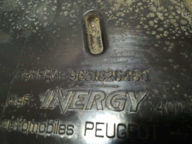 9651826480 Peugeot/Citroen