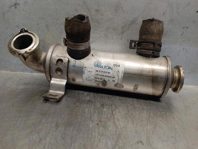 9651902380 Peugeot/Citroen