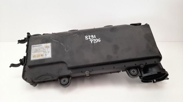 9652987380 Peugeot/Citroen