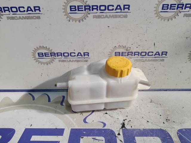 96536545 GM Vaso de expansión  en stock Córdoba