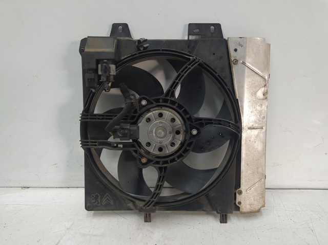 965380408001 PEUGEOT Difusor del radiador de refrigeración con motor y hélice  disponible Ourense
