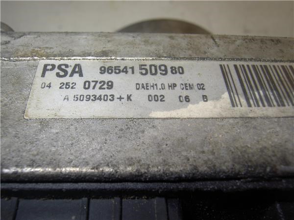 PEUGEOT 9654150980  disponible España